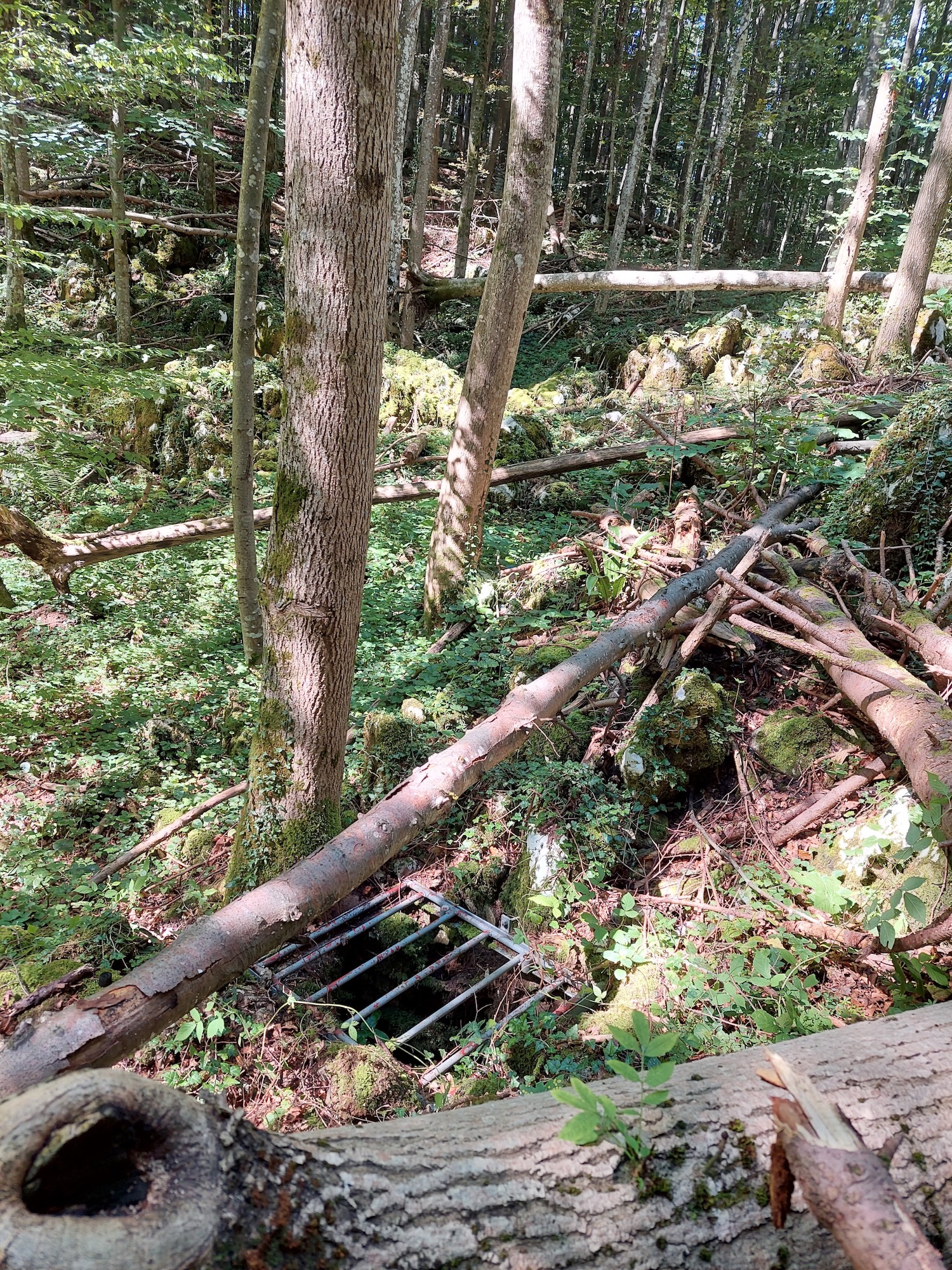 Avenul Mare de la Tunel - Image 2